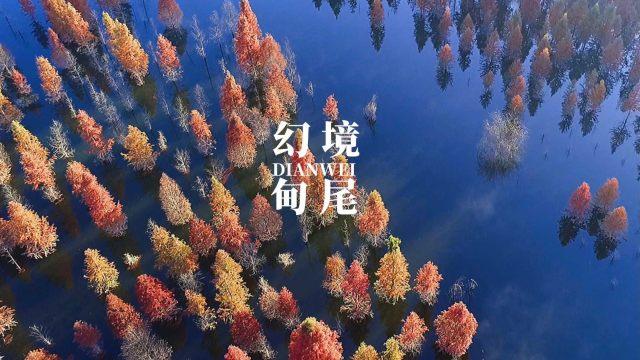 意想不到的旅程