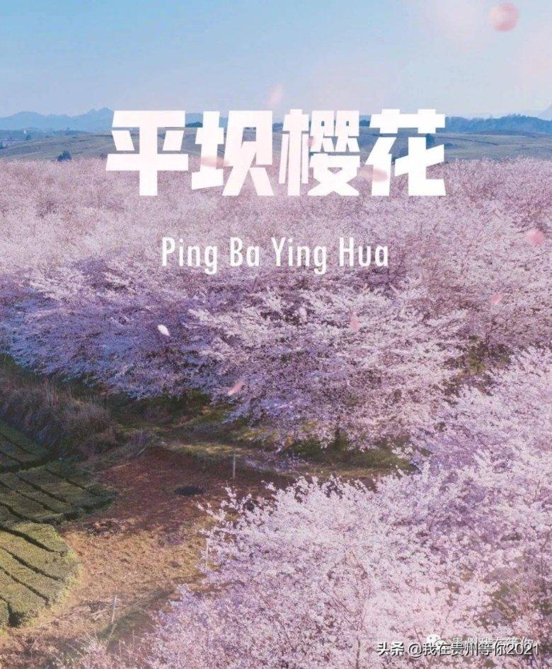 泰来农场举办第一届冬捕节暨年货节