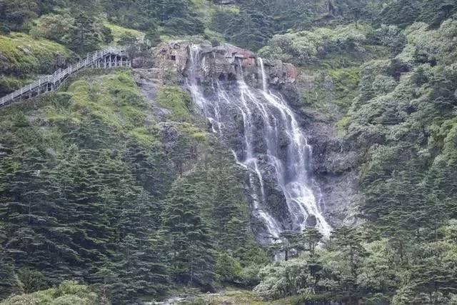 滚动的圆球无敌版