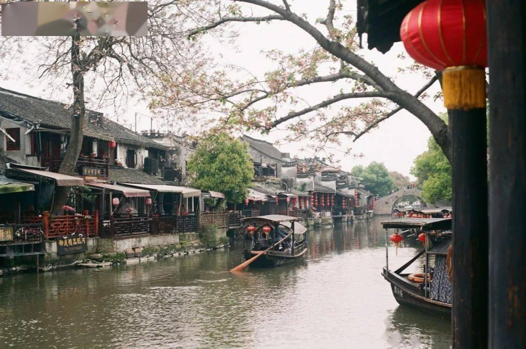 我女儿考上北京大学，领导儿子考上专科，为什么感觉领导每天故意针对我？游戏画面