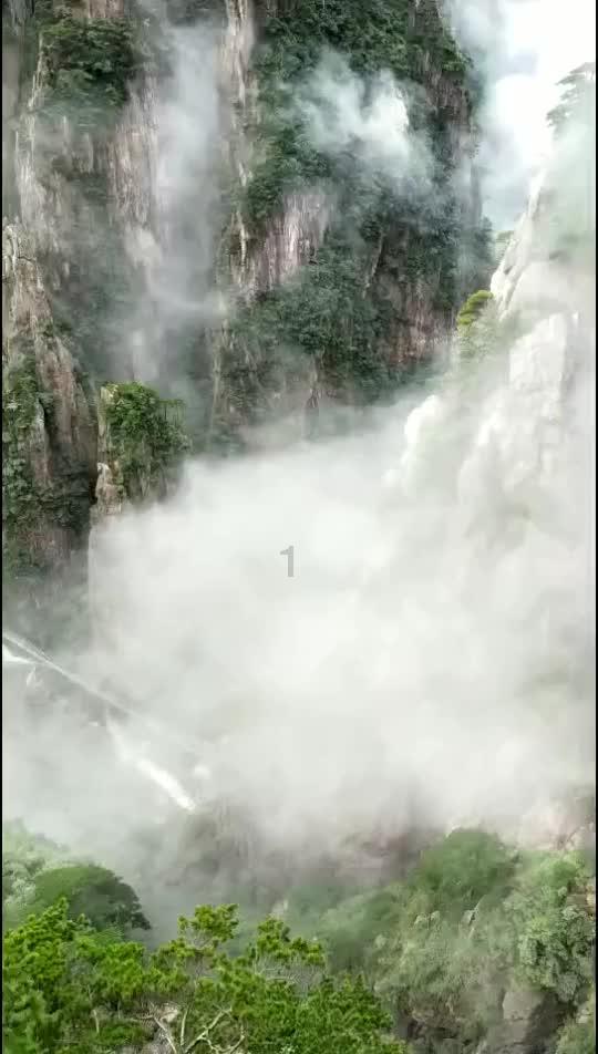 广州队解散疑云揭晓:通过准入,球迷称赞影豹递补